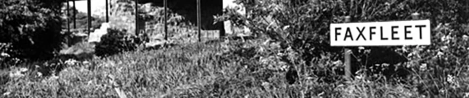 Black and white photo of overgrown vegetation with "Faxfleet" street sign